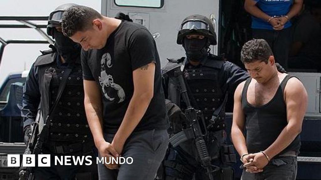 "Los carteles no existen": la provocadora idea que critica la guerra contra el narco en México